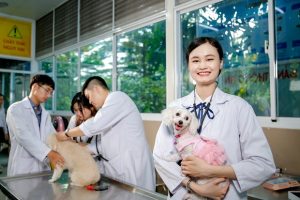 Thí sinh nên tìm hiểu kỹ chương trình đào tạo và phương thức tuyển sinh trước khi chọn trường học ngành Thú y